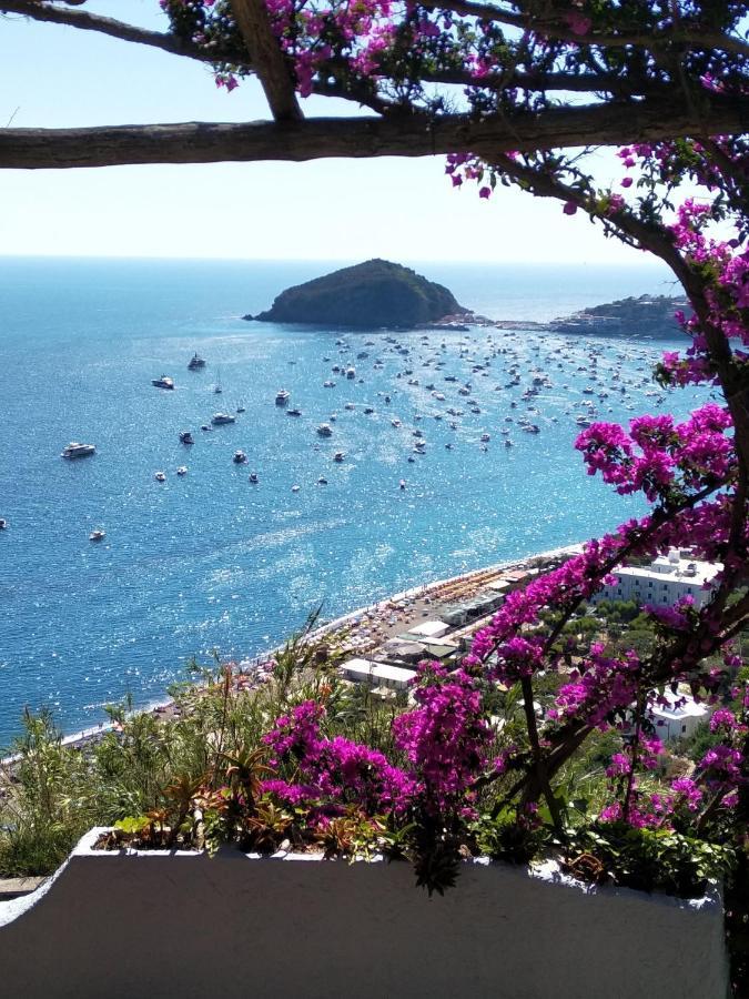 Al Mare Hotel Barano d'Ischia